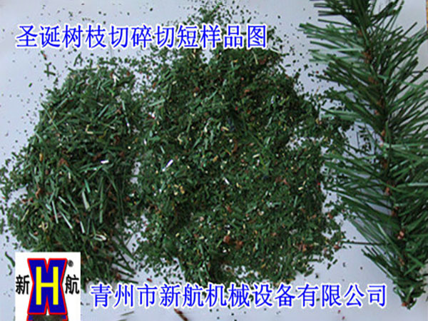  圣誕樹(shù)枝切短樣品圖